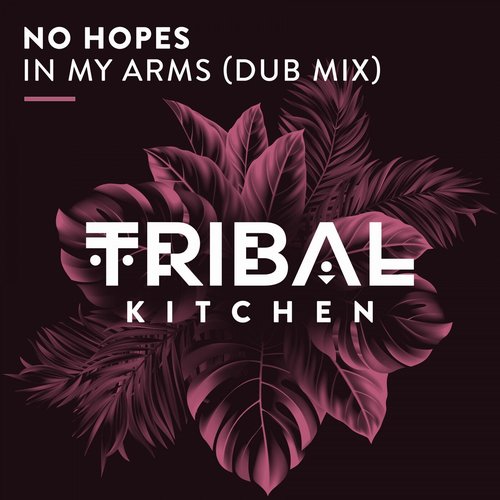 No Hopes - In My Arms (Dub Mix) [TK146]